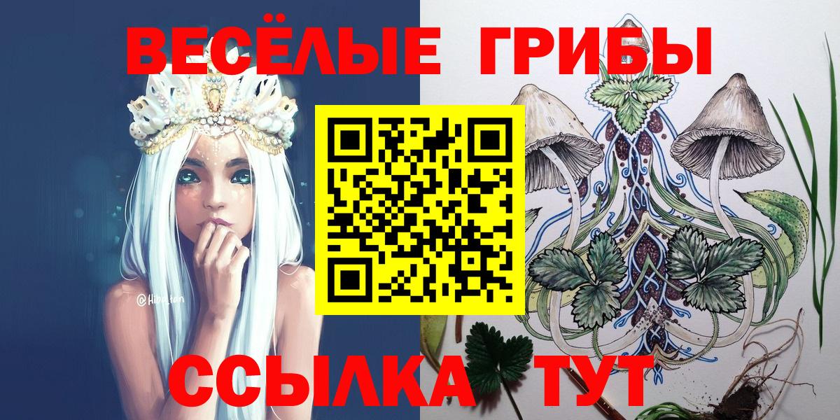 Галлюциногенные грибы прущие грибы Асбест
