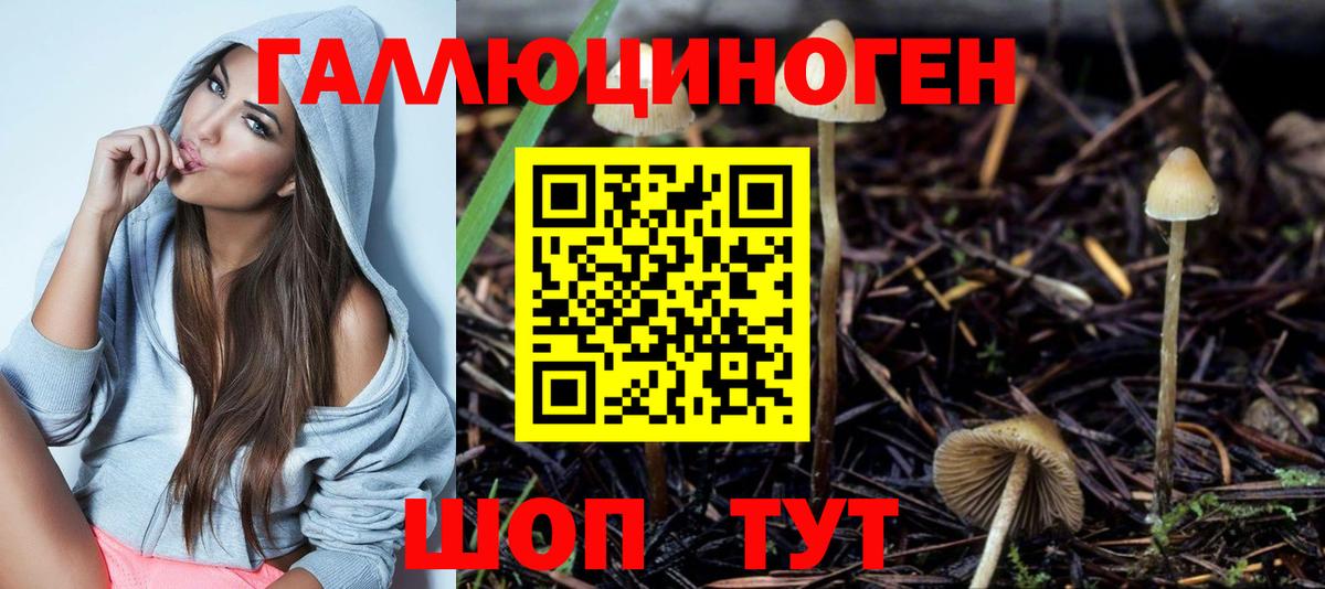 Асбест  Псилоцибиновые грибы прущие грибы  Вход с VPN 